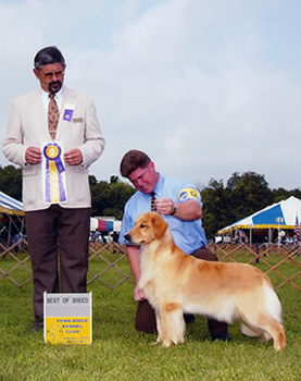 Moongate Goldens