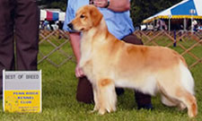Savannah