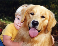 Moongate Goldens